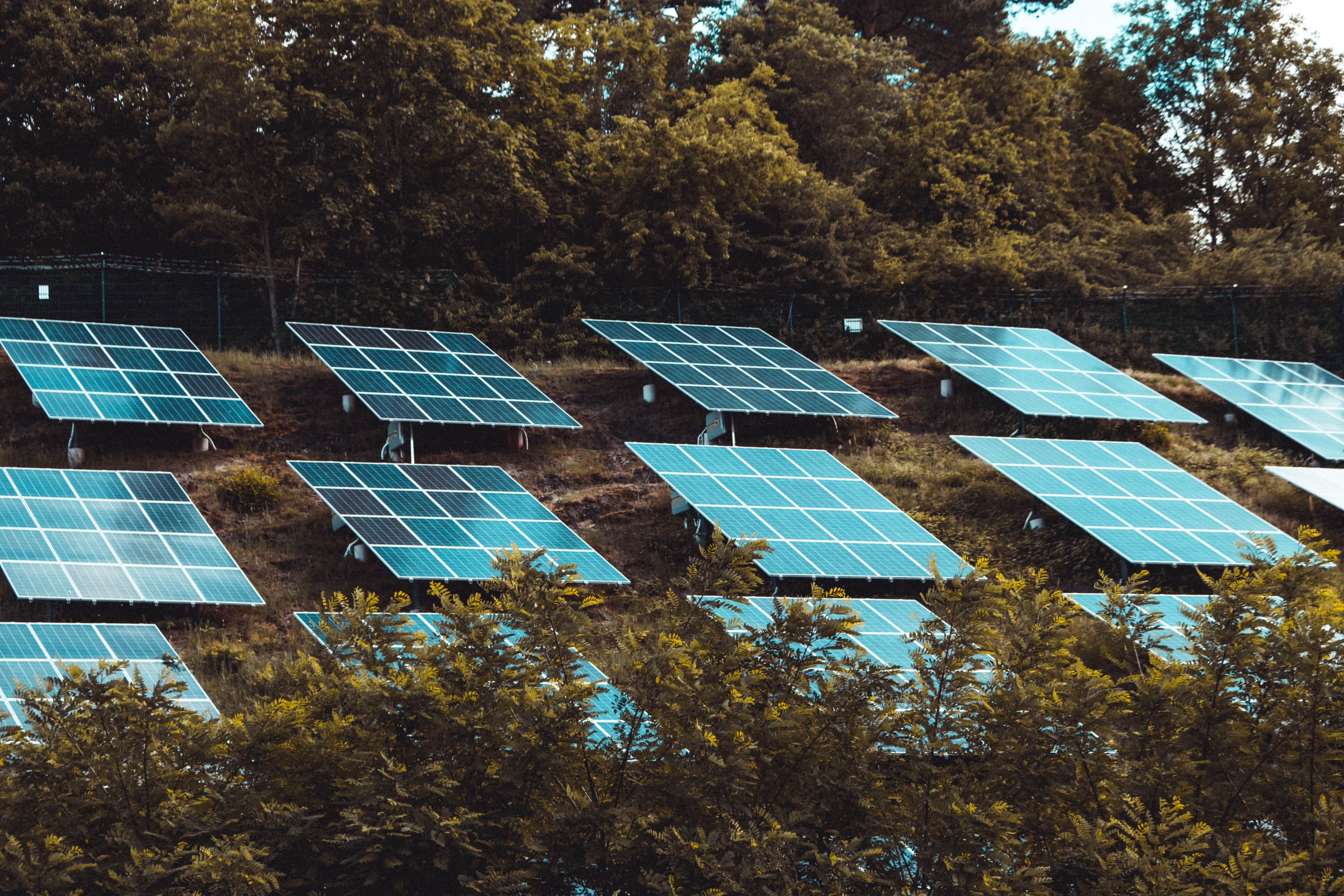 moritz-kindler--SKRzGN47iQ-unsplash-min.jpg